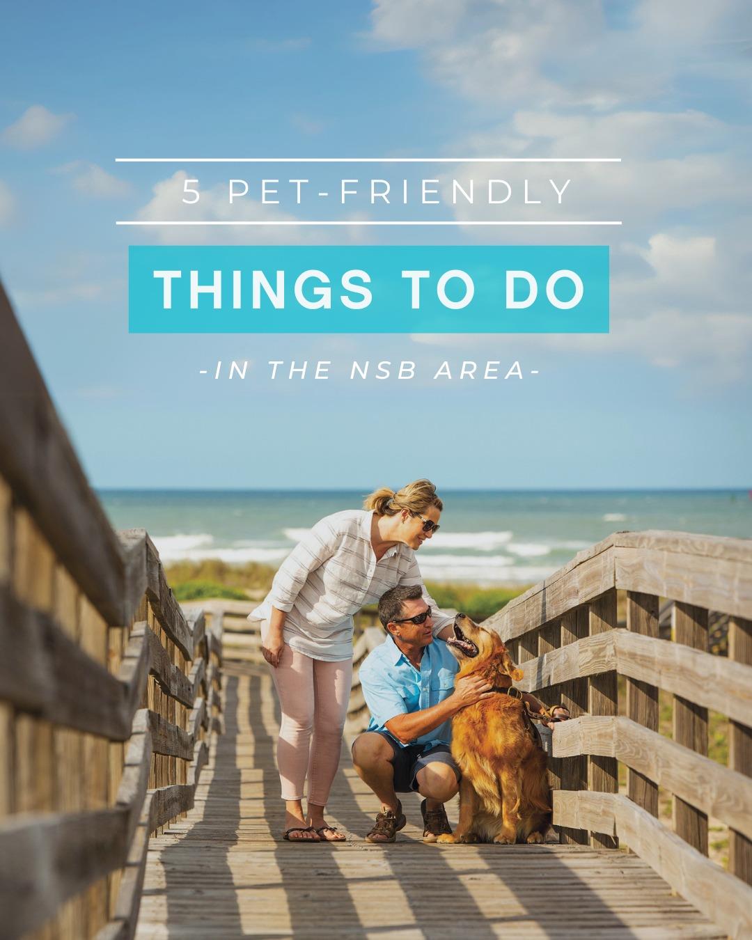 Bringing your furry friend along for the fun? 🐾

Here are 5 pet-friendly things to do in the NSB Area🌊🐶
• 🐕 Swim at Smyrna Dunes Park Dog Beach
• 🌲 Visit Lake Ashby Park
• 🍺 Grab a drink at @nsbbrewing 
• 🌅 Stroll Menard-May Park
• 🍽️ Dine at @yellowdogeats 

#LoveNSB #PetFriendlyNSB #VisitNSBArea