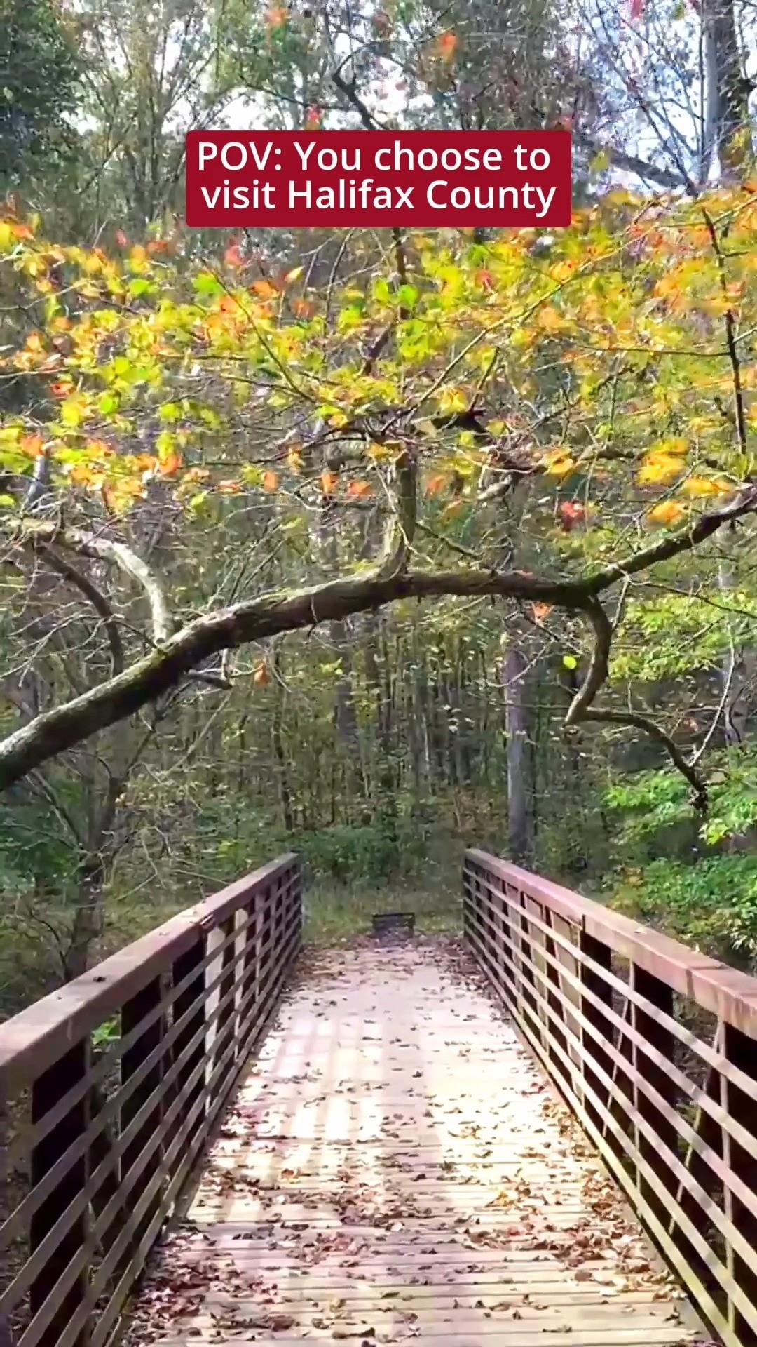 Have you been here before? 🌳🚗
Tell us your favorite Halifax County memories in the comments! ⬇️

#DiscoverHalifaxNC #VisitNC