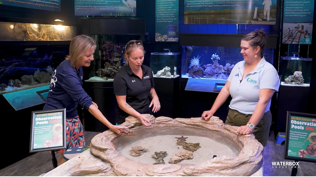 Thank you to waterboxaquariums for including us in their annual Blue Friday event!

Waterbox Aquariums is "dedicated to education and growth of a fantastic hobby, one aquarium at a time", and during their Blue Friday event last week they held a charity raffle to benefit MDC. Congratulations to all of their raffle winners, but we think we came out as the biggest winner for sure: Waterbox and its supporters donated $8,885 to MDC!!! 

Waterbox staff also created an incredible video for us that highlights all of the work we do in Education, Conservation, and Exploration. Give it a watch at  https://youtu.be/KJscGvWprjA

Thank you, Waterbox Aquariums. We appreciate you 🫶
.
.
.
#mdc_nsb #marinediscoverycenter #newsmyrnabeach #community #donation #giveback #supportnonprofits #nonprofit #indianriverlagoon #onelagoon #handsonfeetwet #dosomethinggood #discoveramazing