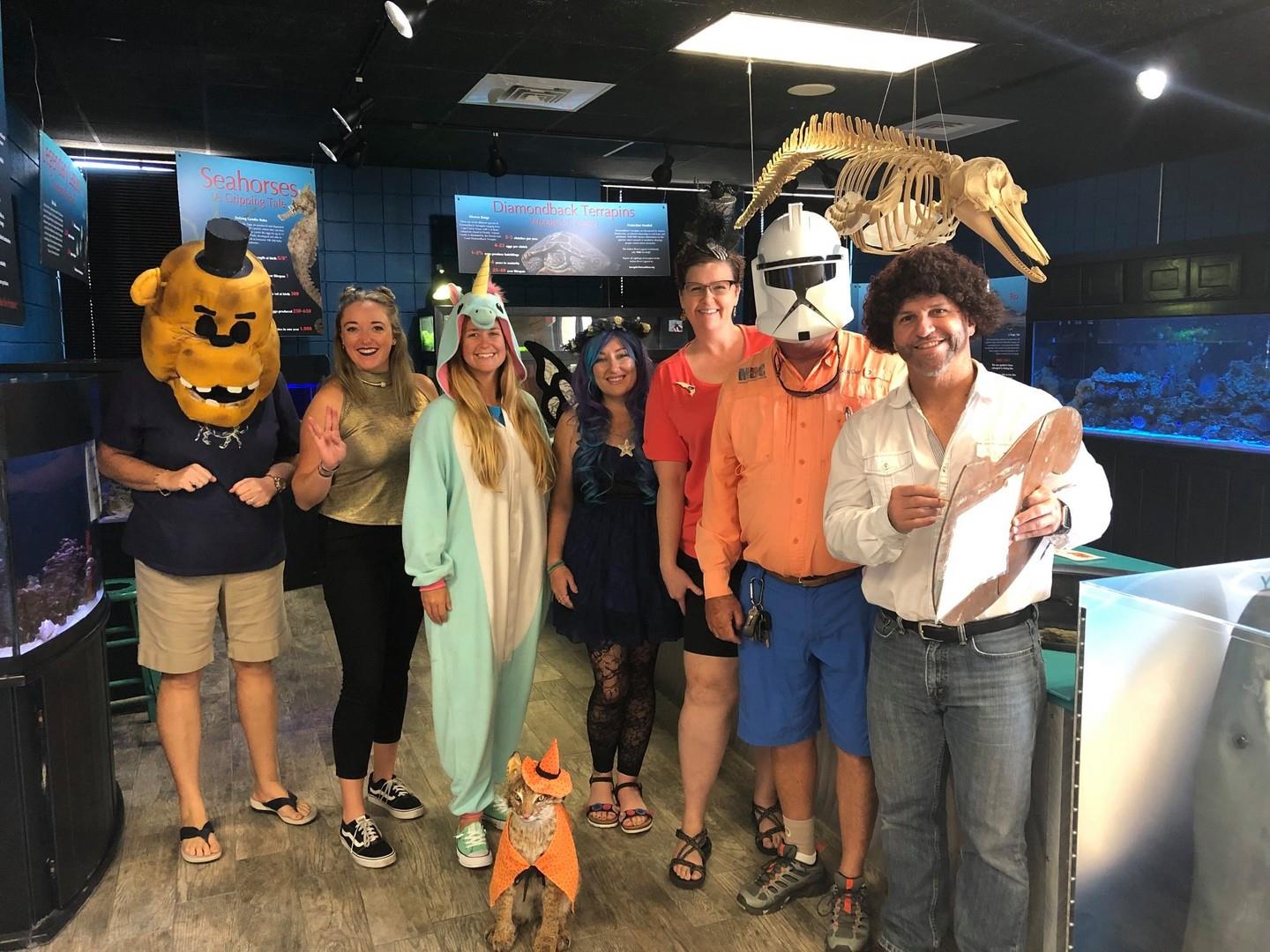 Oct 17 👻 @marinediscoverycenter hosts the Spooky Ooky Estuary - a fun and creepy Halloween event! 🍬 Expect a trick or treat trail, a super scary trail, crafts, games, treats and other spooky surprises! Head to link in our bio for more info.

📷 Marine Discovery Center/FB
#LoveNSB #LoveFL #HalloweenEvent