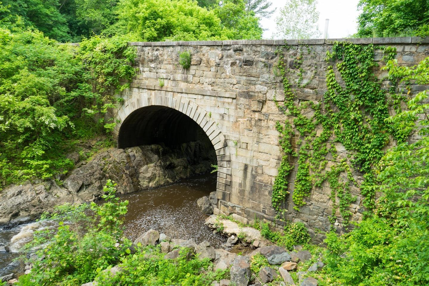 See some of the most impressive and best-preserved early 19th-century canal construction when you explore the 7.5-mile Roanoke Canal Trail!
🧐 Learn more: Link in bio
.
#DiscoverHalifaxNC #VisitNC #VisitHalifaxNC