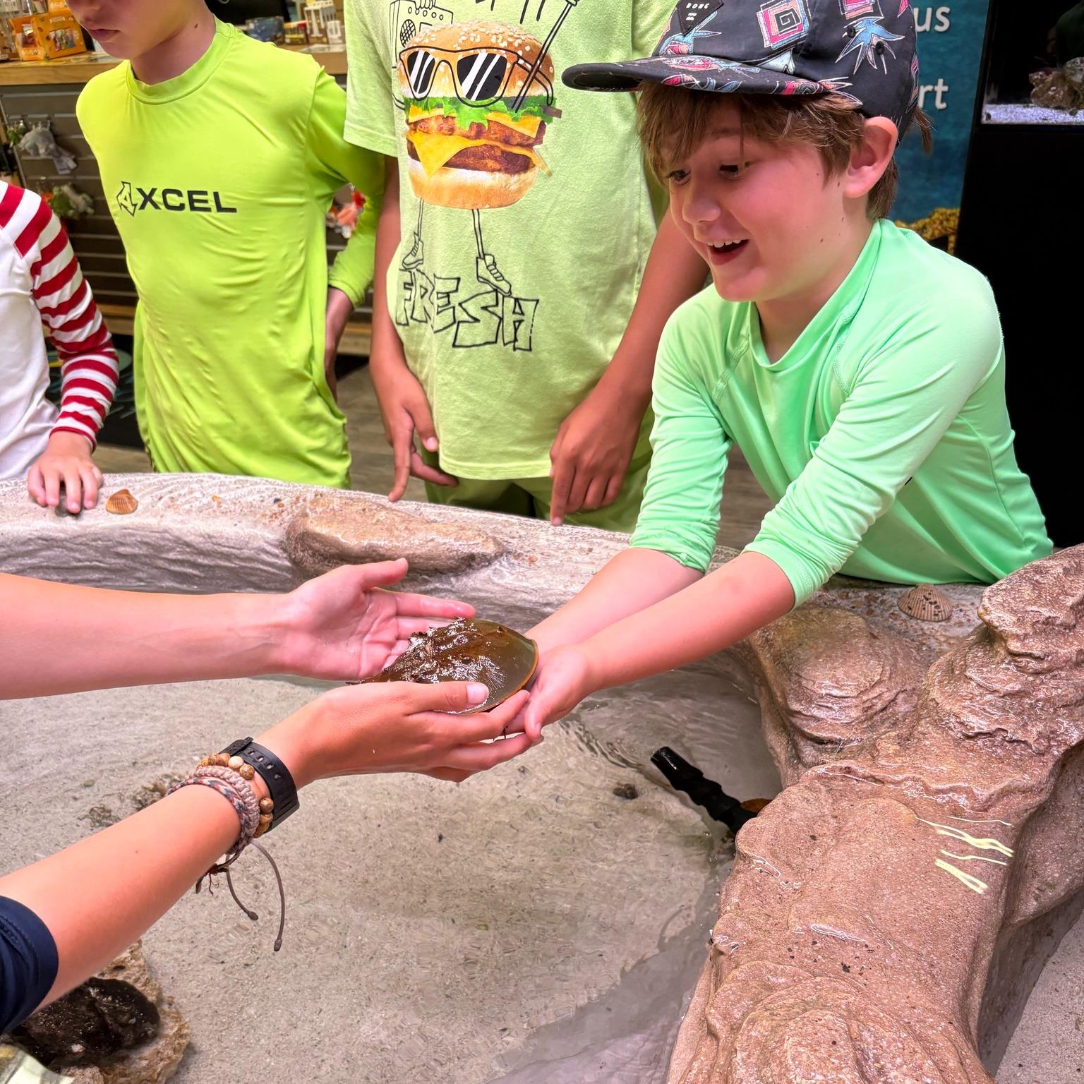 A few spots have opened up in tomorrow's Sense of Adventure program! 

This fun, FREE program highlights each of the five senses 👀👃👂👅🤚 with a hands-on, feet-wet twist! While this program is tailored to people with disabilities and sensory sensitivities, sensory play and exploration is critical to development for all ages and abilities!

All ages welcome -- happening Saturday, 1/10 from 2:30-3:30 pm.

Cost is FREE but registration is required. In addition to the few spots this Saturday, there is ONE left for May 2 as of this posting - all other dates are currently at capacity.

Register now by clicking the Book a Tour or Program *link in our bio* and navigate to Education. Learn more about our other educational offerings at MarineDiscoveryCenter.org/Education
.
.
.
#mdc_nsb #marinediscoverycenter #newsmyrnabeach #sensoryprogram #senseofadventure #kidseducation #familyeducation #freeprograms #learnsomethingnew #handsonfeetwet #education #indianriverlagoon #onelagoon #horseshoecrab #fivesenses #discoveramazing