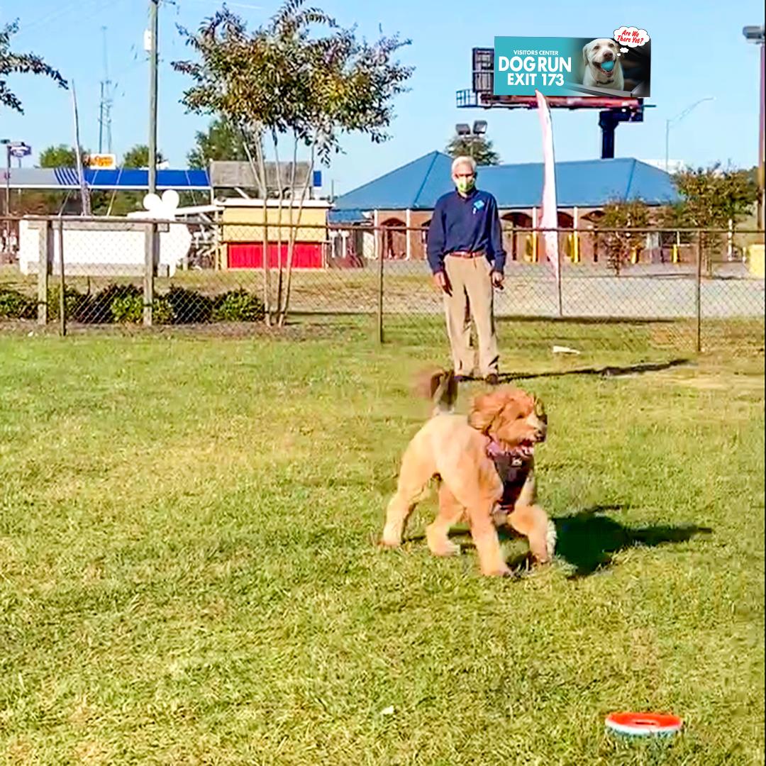 Get a much-needed travel break for you AND your dog when you brake for our FREE Visitor Center Dog Run: More info in bio link
.
#DiscoverHalifaxNC #VisitNC #DogRun #RestStop
