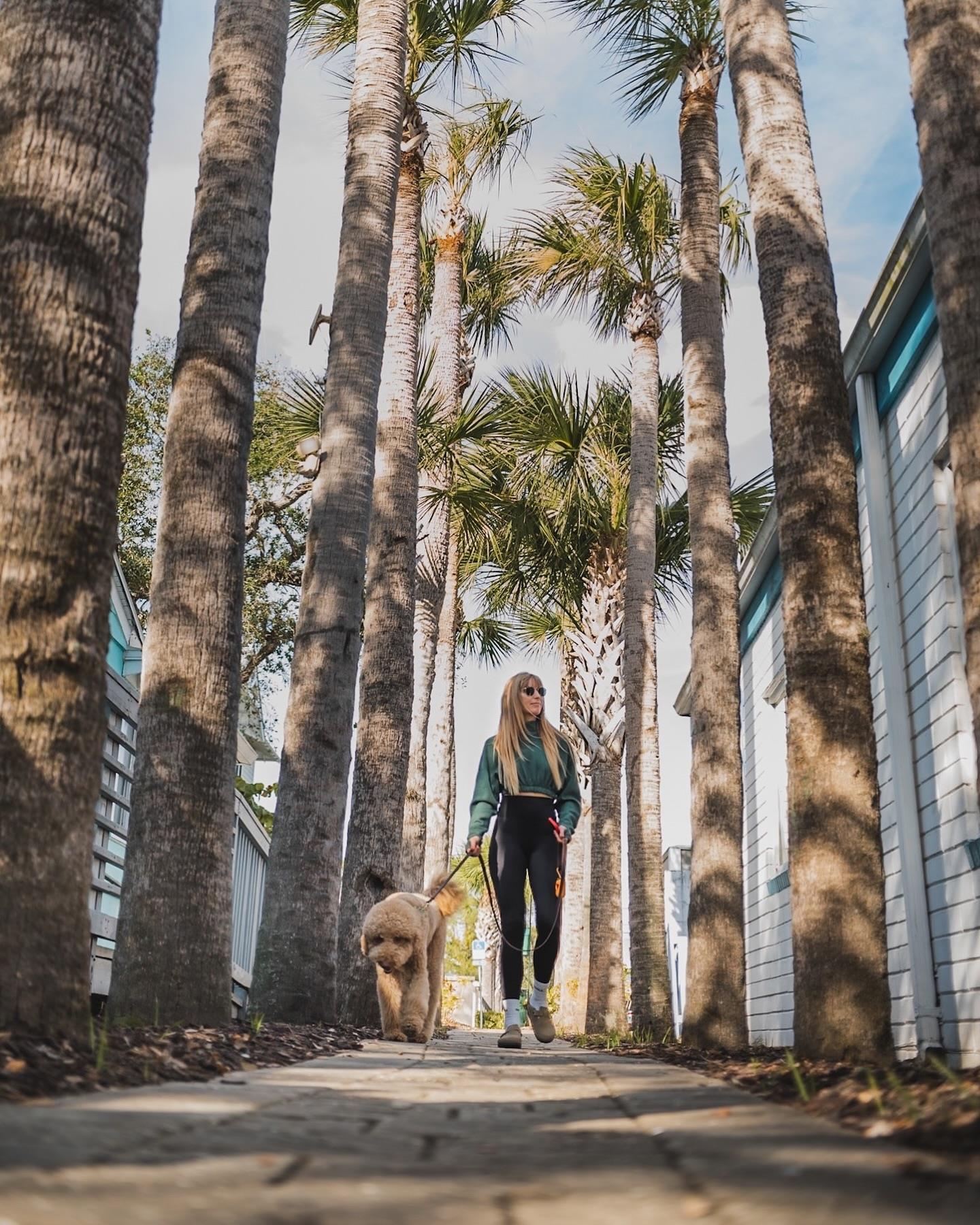 Find @hamptoninn_nsb where comfort meets the NSB coast 🤗 
➡️ Follow the link in our bio to find out more.
.
📷 HamptonInnNewSmyrnaBeach/FB
 #LoveNSB #LoveFL