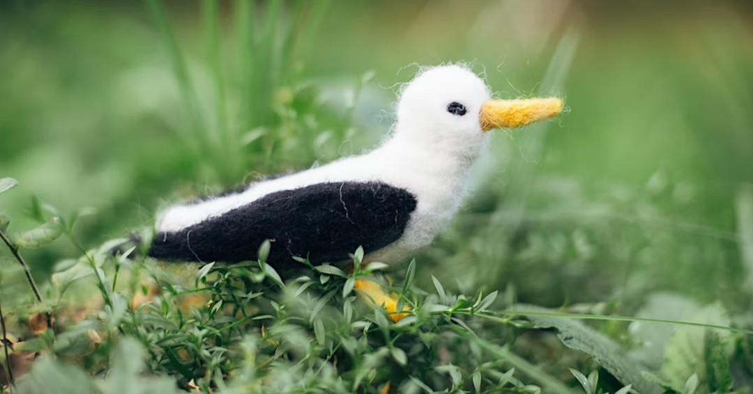Feb 4: Learn a new craft and create a Valentine gift at @sylvanheights_birdpark's Birds & Valentines Felting Workshop 
💌 Register with link in bio
.
📷 Sylvan Heights Bird Park
#DiscoverHalifaxNC #VisitNC #VisitHalifaxNC