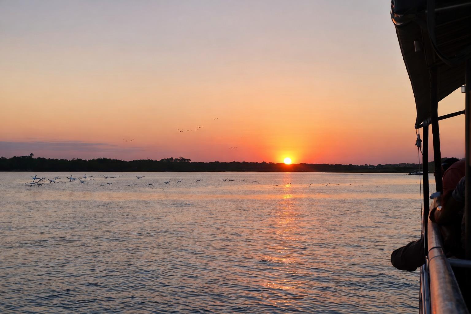 It's a beautiful time of year for a sunset on the water! Join MDC for a late day excursion on the Indian River Lagoon and experience this beautiful estuary in all its gorgeous colors. Our Evening Dolphin Discovery Tours depart daily (weather permitting). We also offer Full Moon Boat EcoTours each month -- including this evening at 7pm!

Book any of our boat or kayak ecotours at MarineDiscoveryCenter.org or click the Book a Tour or Program *link in our bio*

📸 MDC tour guest Amy Turner
.
.
.
#visitnsbfl #boattours #sunset #floridaboattours #indianriverlagoon