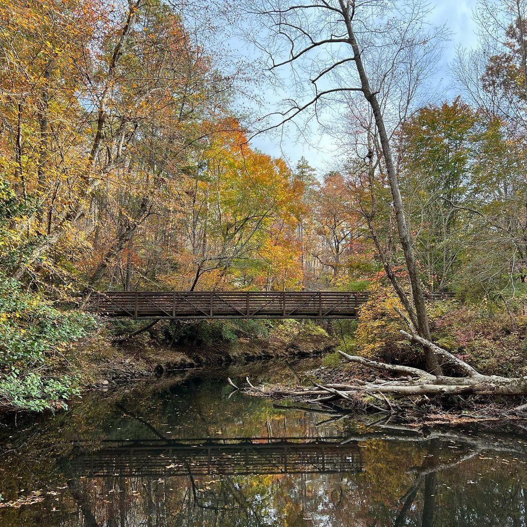 #ScenicSunday inspiration from Medoc Mountain State Park 🍂 
.
📷: @greatnessoutdoors
#DiscoverHalifaxNC #VisitNC #VisitHalifaxNC