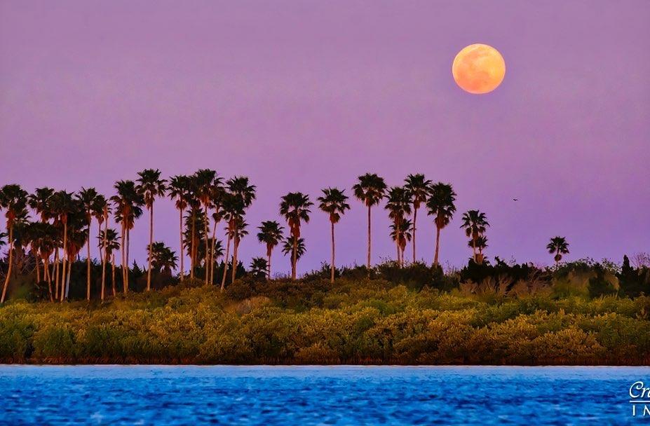 Get your cameras ready! It's a Full Moon tonight 🌕 
Details in bio.
#LoveNSB #LoveFL #FullMoon #PhotoOpp
📷: @lisa_fineartphoto