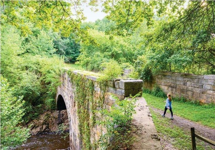 History lives here.
Bland Simpson of @ourstatemag shares these musings from time spent at the Roanoke Canal,
"I can still see boatmen on the towpath, leading the mules that pull the boat, cruising it slowly over the old 110-foot Chockoyotte Aqueduct, held high above Chockoyotte Creek by a single elliptical arch with a 30-foot span.". Visit the link in the bio to read the full article: https://www.ourstate.com/the-mighty-roanoke-river-a-photo-essay/ 
.
.
📸: Emily Chaplin and Chris Council
 #DiscoverHalifaxNC #VisitNC #LoveNC #northcarolinaphotography #ExploreNC
