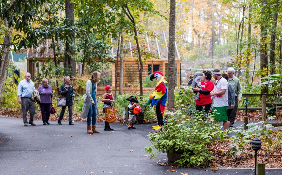 Trick-or-Tweet with the birds in a safe, family-friendly environment at @sylvanheights_birdpark on Oct 31!
🎃 Event details: Link in bio
.
📷: Sylvan Heights Bird Park Website
#DiscoverHalifaxNC #VisitNC #TrickorTweet