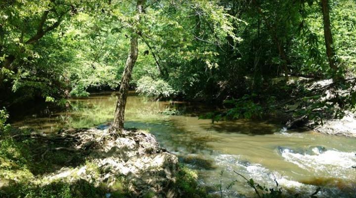 Enjoy a slice of heaven at Medoc Mountain State Park.
.
.
📸: Gena Casas
#DiscoverHalifaxNC #VisitNC #LoveNC #northcarolinaphotography #ExploreNC