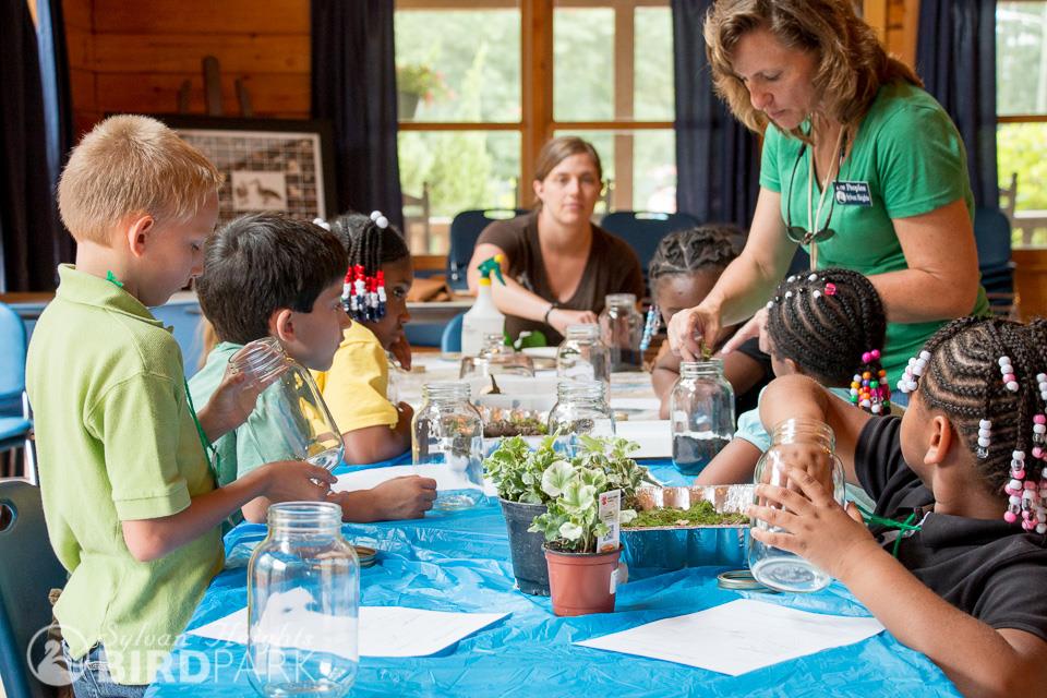 Book a Field Trip at @sylvanheights_birdpark!
It can be as simple as a self-guided tour of the park or, for a more in-depth experience, you can add an educational program or activity.
👉 Learn more: Link in bio
.
#DiscoverHalifaxNC #VisitNC #VisitHalifaxNC #FieldTrip