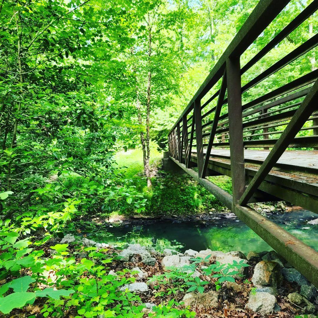 #ScenicSunday at Medoc Mountain State Park
.
#DiscoverHalifaxNC #VisitNC
📷: @sarahardee