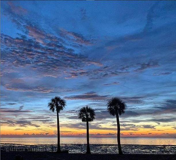 The best way to recharge on the weekend = sand, sun, and a front row seat to the Gulf of Mexico. 🌊

Where's your favorite #FLAdventureCoast spot to relax and recharge?

📸 credit: @pssflorida 

.
.
.
.
.

#Hernandobeach #pineisland #loveFL #floridabeach #sunsetsofflorida #travel #gulfofmexico #weekiwachee #sunset #centralflorida #floridaphotography #igflorida #hernandocounty #springhillflorida #weekendvibes #repost #reshared