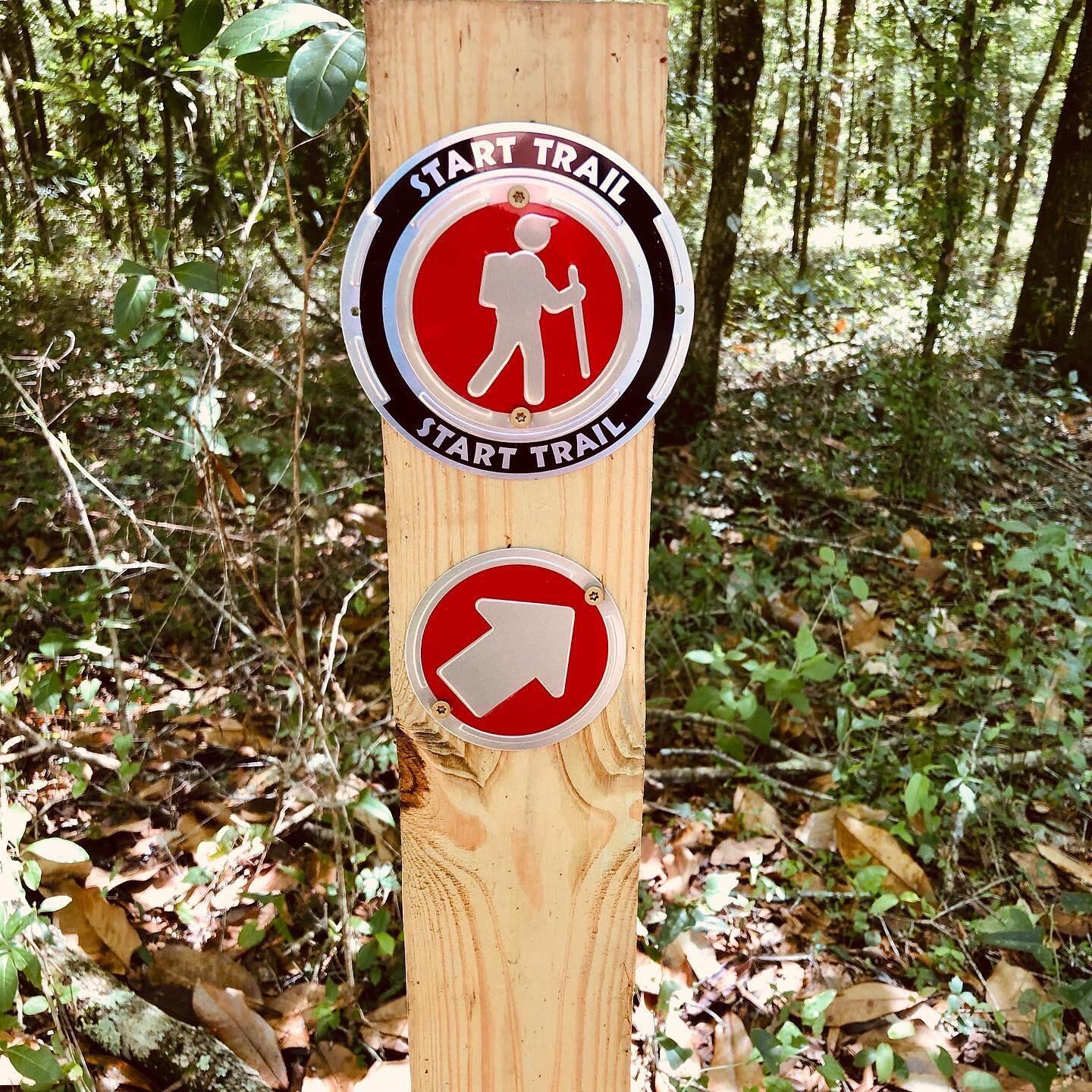 Come take a hike at Fickett Hammock Preserve this weekend! #eslhernando #florida #hernandocounty #ficketthammockpreserve #hiking #wildflorida