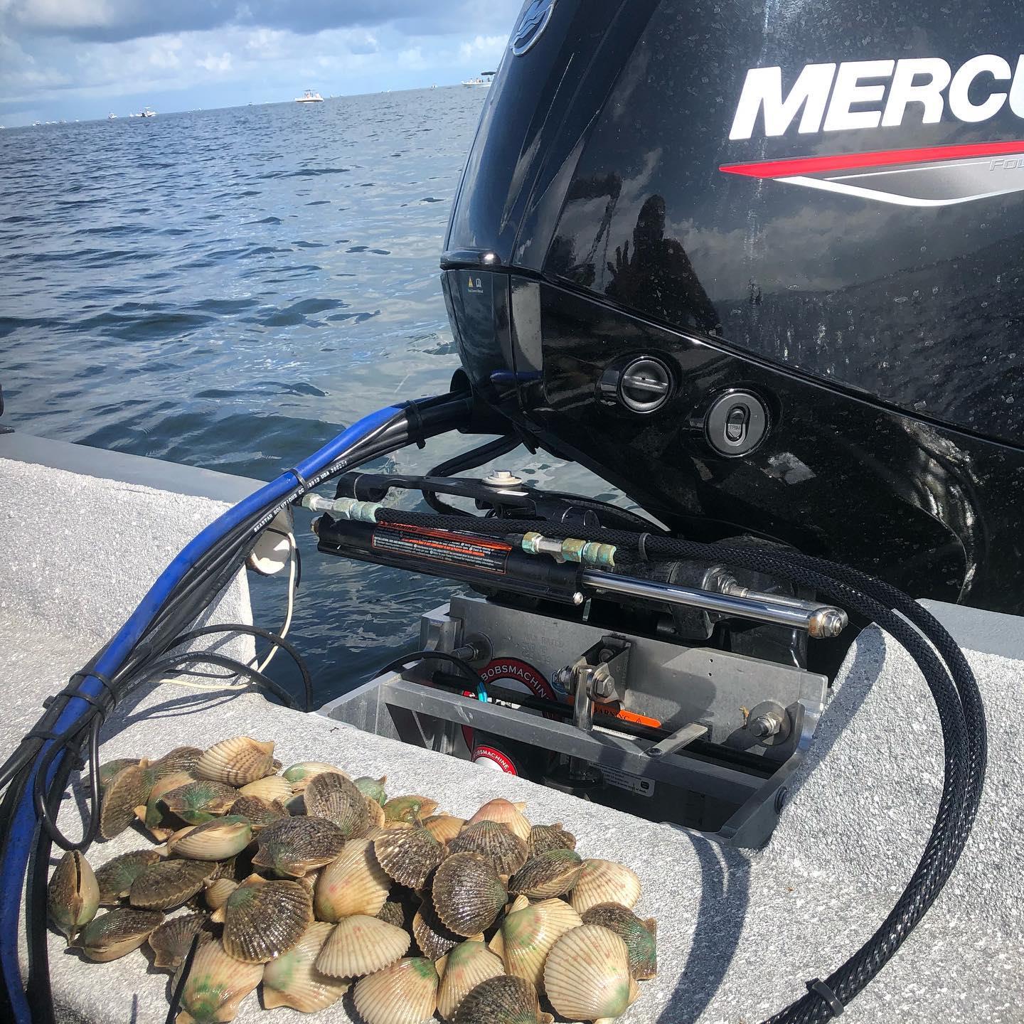 We can’t wait to get back out scalloping tomorrow!!!
Bookings are available on our website Southernslamoutfitters.com or you can call Captain Carey 352-361-0731
.
.
.
.
#scallops #mercury #bobsmachineshop #hodgesmarine #boats #skifflife #coastal #dowork #homosassascallopcharter #scallopinghomosassa #florida #whatstorm #backtowork #homosassa #fishing #captain #oupv