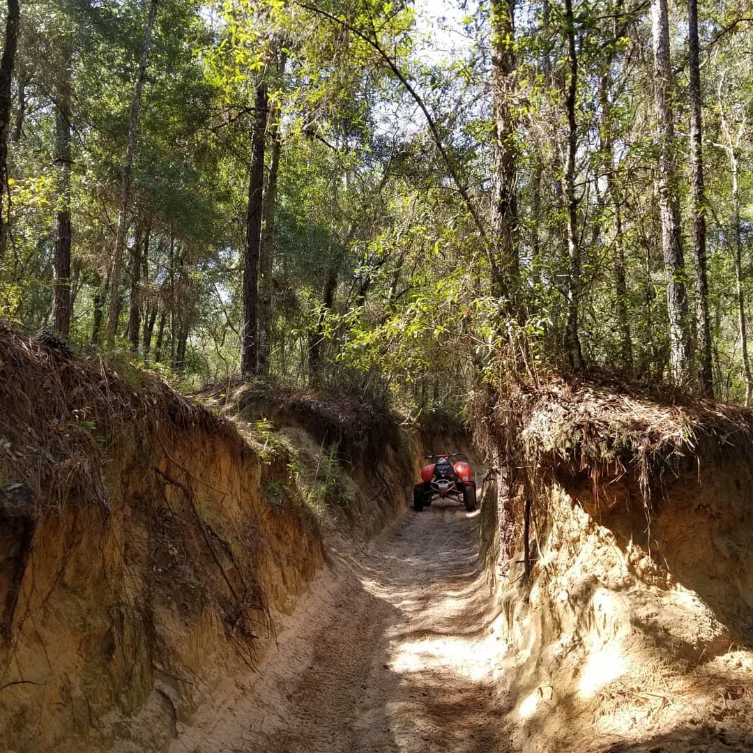 #TrailTherapy #Bombardier #DS650 #Croom #BrapLife