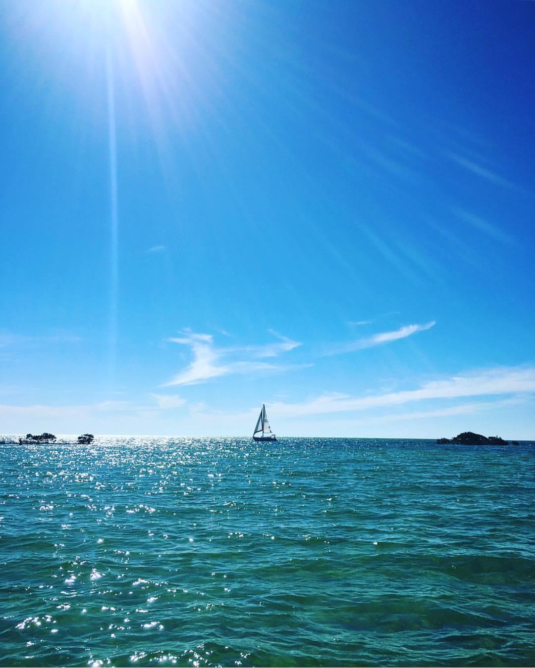 Picture perfect ⛵️ #ThisIsHernando #Sailboat #Gulf #HernandoBeach #SaltLife 📷 by shaina_punim_  on Instagram