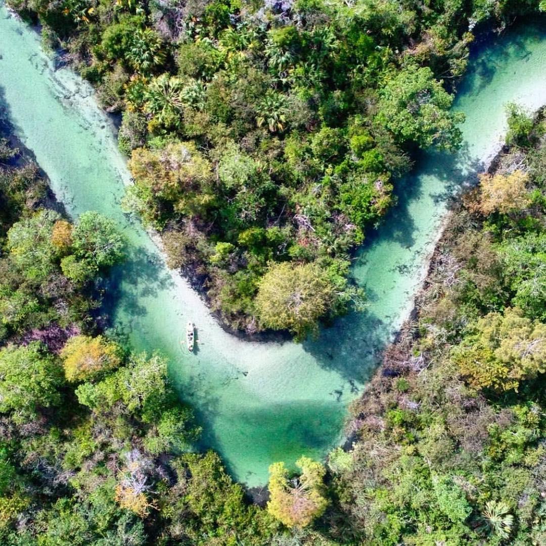 Photo by:  kevingiese
Weeki Wachee Springs was named by Seminole Indians which means "Little Spring" or "Winding River". The Springs are a natural tourist attraction located in Weeki Wachee, Florida.
--------------------------------------
Selected by: ipp14
Congratulations from the entire roamflorida team.
Tag #roamflorida for a chance to be featured.
-------------------------------------
roamflorida team:
ipp14
hoovisyo
jasonmillerphotography
ryanmauermann
ronald_p_mexico
dino_rotondo
annapantarei
weatherby.photography
-------------------------------------
#pureflorida #floridalife #visitflorida #saltlife #picoftheday #loveflorida #sunshinestate #explorida #lovefl  #beautifuldestinations  #weekiwacheesprings #weekiwachee #earth_shotz #igtravel #roamflorida
