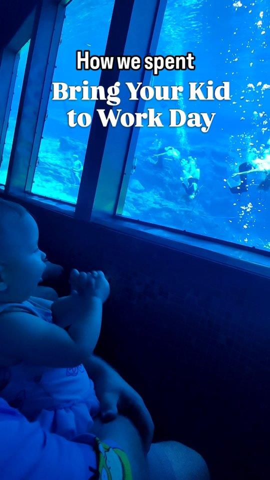 🎥 It’s Bring Your Kid to Work Day—Adventure Coast style! As a social media creator for Florida’s Adventure Coast Visitors Bureau, I brought my one-year-old daughter (and a few family helpers) along to explore some of our favorite kid-friendly spots.

From watching the magical mermaids at Weeki Wachee Springs State Park, to lunching at The Bistro in historic downtown Brooksville, to spotting murals and statues on the Mermaid Tale Trail, and topping it all off with a sweet treat from Good Time Brooksville—it was a day full of memories and smiles.

👶💙 Whether you're traveling with toddlers, teens, or grandparents, Florida’s Adventure Coast is fun for all ages!

👇 Tell us—what’s your favorite family activity on Florida’s Adventure Coast? We'd love to hear your recommendations!

#FloridasAdventureCoast #BrooksvilleFL #WeekiWachee #BringYourKidToWorkDay #ToddlerTravel #TravelWithKids #LoveFL
