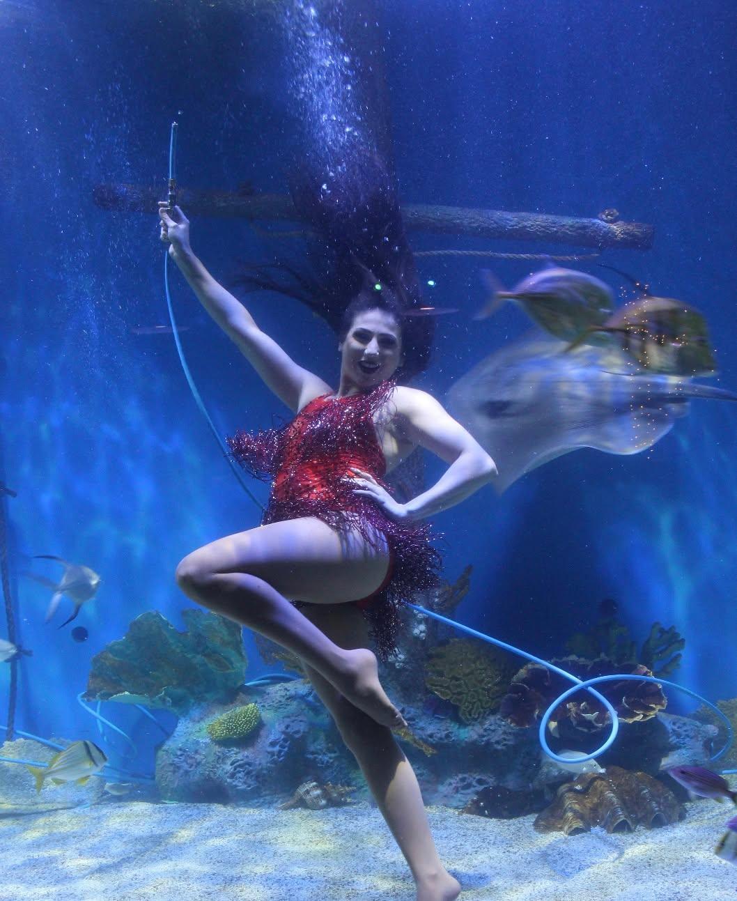 Mermaids do exist! Our day on the water took a detour on a rainy day to Mertailor's Mermaid Aquarium Encounter and we couldn't have had a better time! 

Take a look at our day with the Mermaids! 🧜‍♀️

#betteroffwet #betteroffwetmagazine #betteroffwetapparel #waterlifestyle #florida #floridalife #floridaliving #lifeonthewater #charters #floridacharters #sceniccharters #sunsetcharters #boatcharters #boating #boatinglife #fishing #floridafishing #fishinglife #pangaboats #performanceapparel #watermagazine #fishingmagazine #destinationmagazine #watersportsmagazine #freemagazine #advertising #affordableadvertising