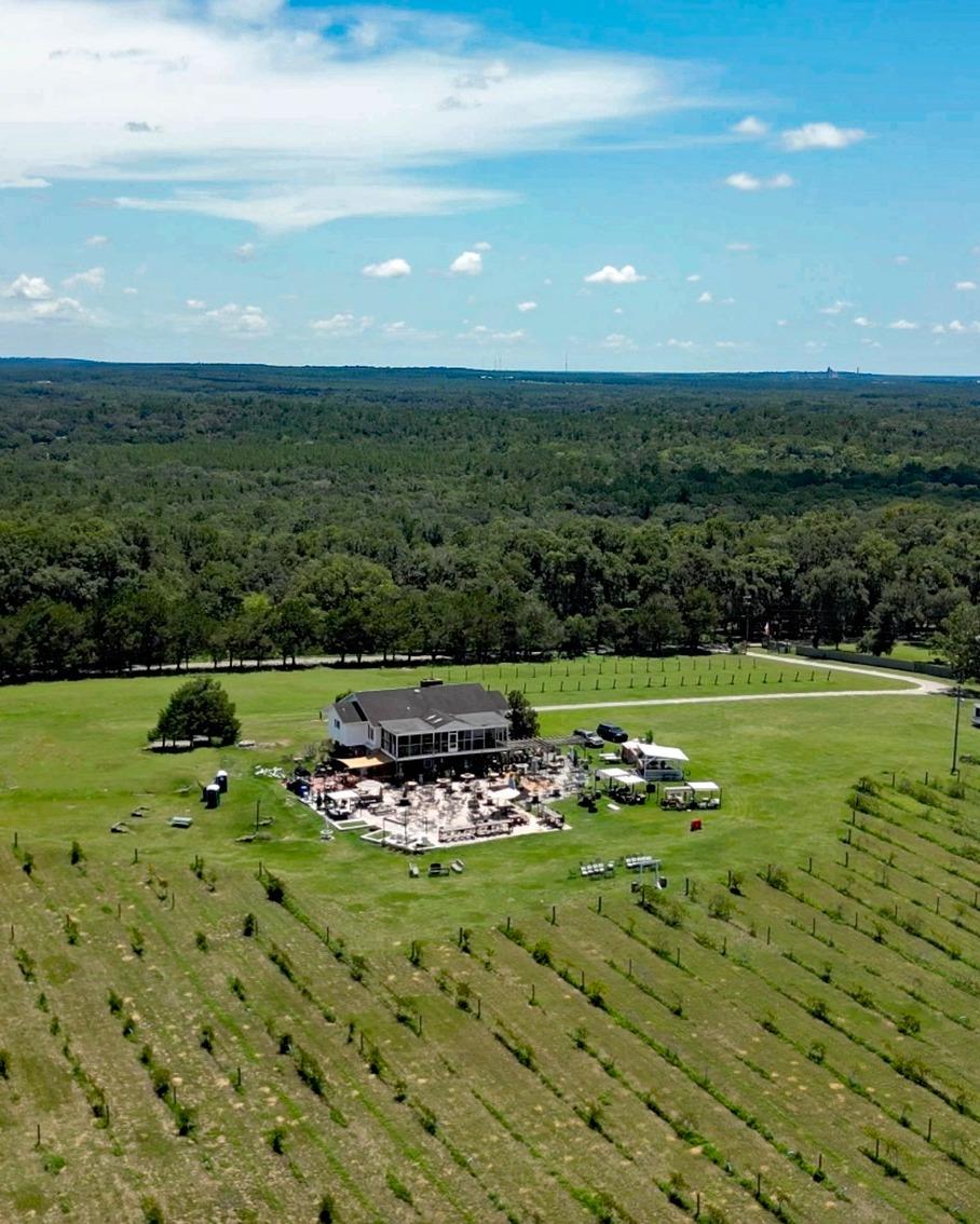 Get ready for the Foggy Longbritches Folk Festival this weekend, January 24-26, 202! 🍃🪕

Located at Sparacia Witherell Family Winery & Vineyard, guests will have great views from this hilly spot with beautiful vineyards, great music, food, craft vendors and good times. 

⏰ When: January 24-26, 2025
📍 Where: 21509 Snow Hill Road, Brooksville, FL
✨ More info: https://www.foggylongbritches.com/

#Brooksville #BrooksvilleFlorida #FLAventureCoast #Florida #LoveFL #HiddenGem #WeekendFun #winery #folkmusic #folkfestival