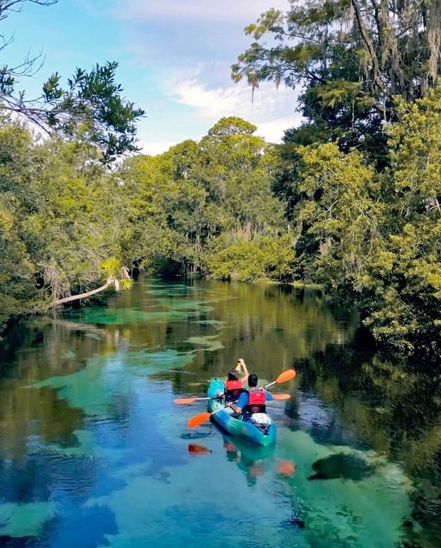 Glide through crystal-clear waters, surrounded by towering cypress trees and the magic of Old Florida 🌿🛶✨ On a guided kayak tour at Weeki Wachee, you’ll do more than paddle. You’ll spot wildlife, learn the spring’s secrets, and see the river like never before.

Ready to dip into adventure? Book your tour today with the link in bio!