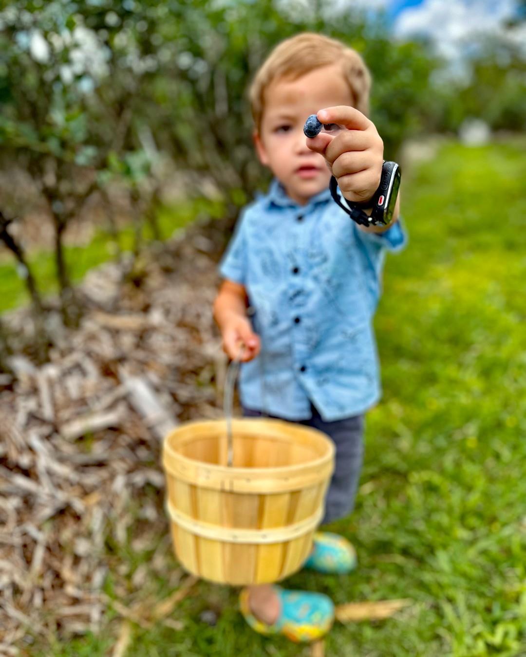 Get ready to enjoy the blueberry season on Florida's Adventure Coast! 🎉💙✨

Jump into the fun of picking your own berries at local farms like Masaryk Winery and Margo's Blueberry Farm in Brooksville. Your berry exciting adventure starts here!