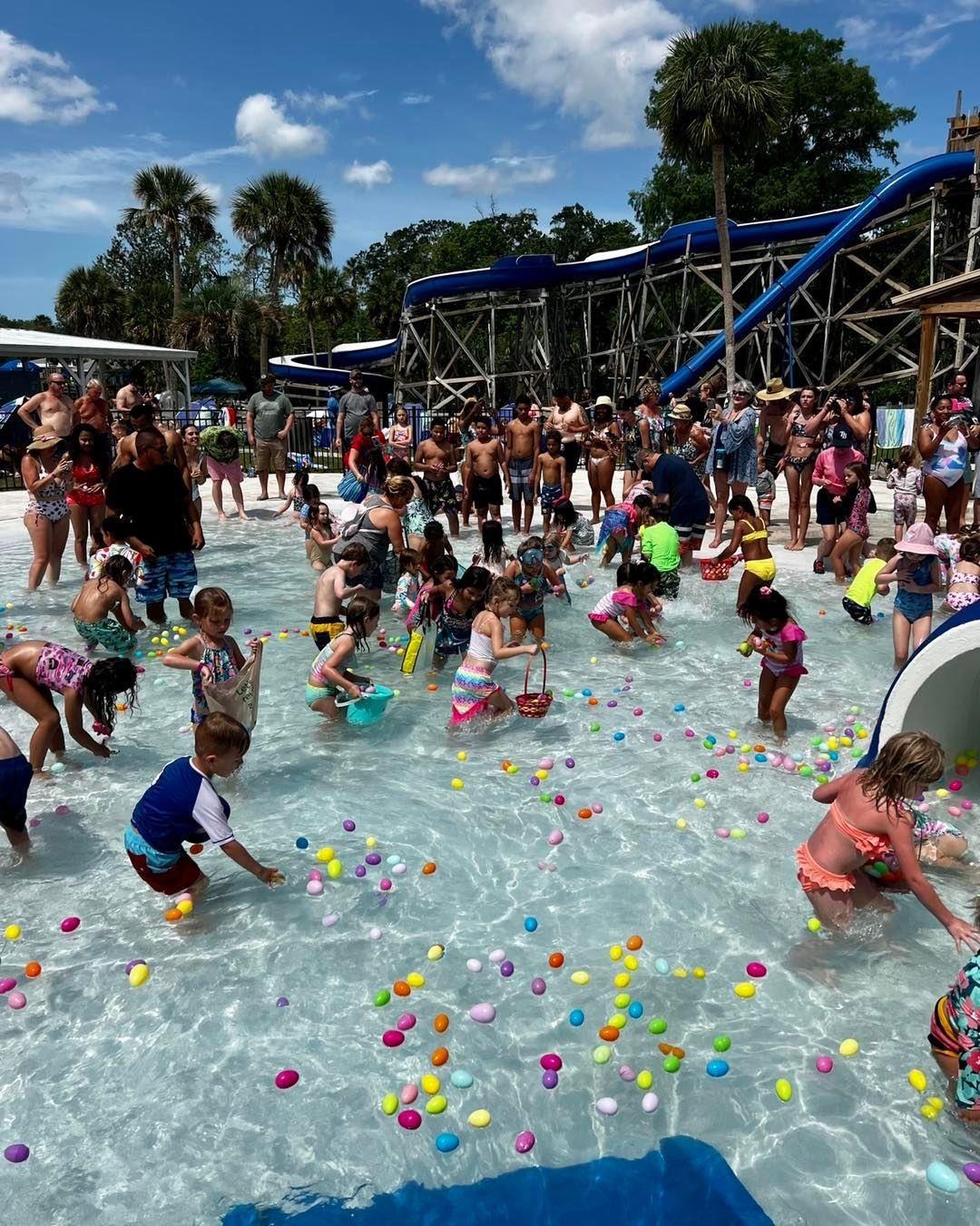 From egg hunts to Spring festivals, discover upcoming Easter events  on #FLAdventureCoast 🐰🌷⁠
⁠
🧜‍♀️ Wild n' Wacky Egg Hunt @weekiwacheesprings - March 30 at 11am⁠
⁠
🍨 Crafted Easter Egg Hunt @thecrafteddessertco - March 30 at 3pm⁠
⁠
🌳 Easter at @flgxfl - March 30 at 8:30am⁠
⁠
More events in the link in our bio ✨️⁠
⁠