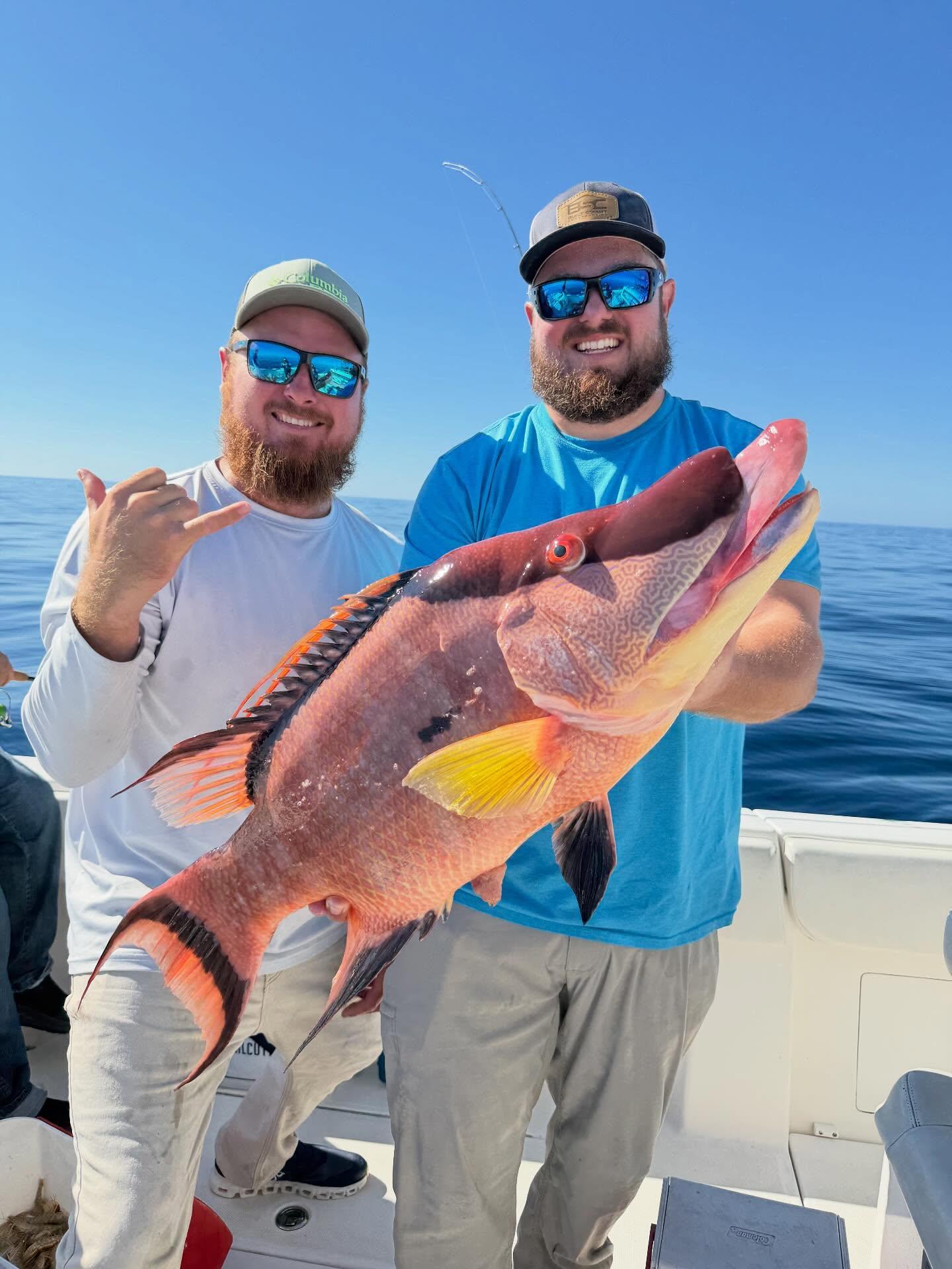Absolute stud hogfish !! #hogfish #gulfofamerica🇺🇸 #invincableboats #mercurymarine #mercuryoutboards #charterfishing #hernandobeach #fishing #saltlife
