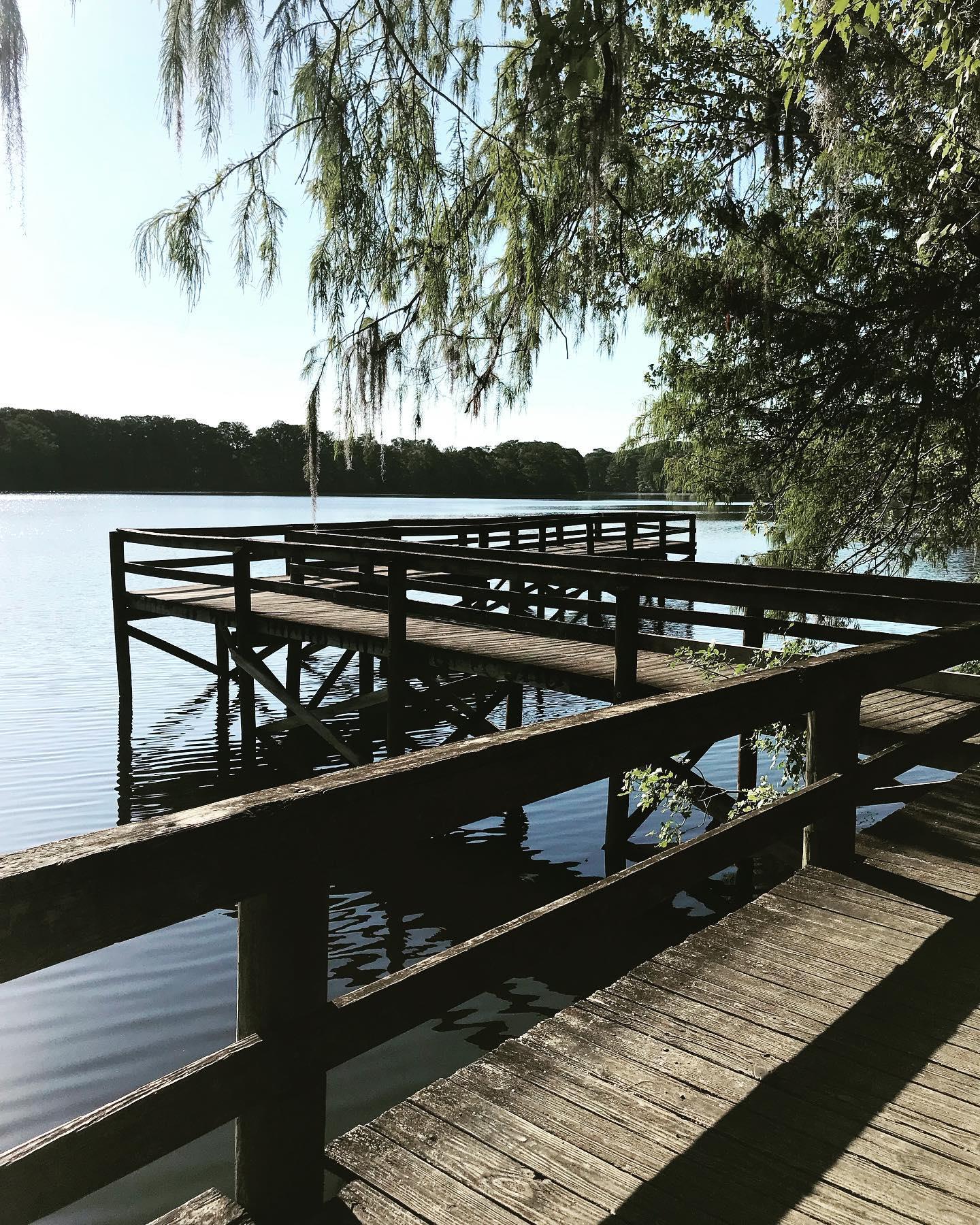 It’s a great day to enjoy Lake Townsen. #hernandocounty #eslhernando #preservenature