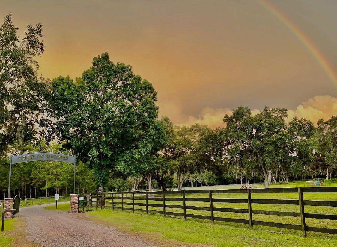 Welcome to the FARM OF DREAMS 🌈 
Situated in the heart ♥ of Brooksville, Florida. Home to memorable moments on the farm.