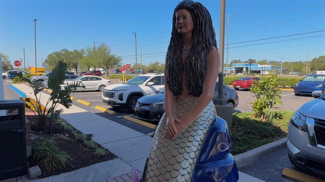 🌊✨ Meet 'Susie' – the first of ten brand new mermaid statues to make a splash on The Mermaid Tale Trail! 

Surrounded by words of hope and empowerment, Susie is a tribute to the strength and courage displayed by women with breast cancer. 

Painted by talented local artist @johans_artwork and proudly sponsored by the Holiday Inn Express & Suites in Spring Hill, Susie brings even more magic to our fin-tastic trail. 

Be sure to stop by, snap a shellfie, and check her off your Mermaid Tale Trail Passport! 🧜‍♀️
📍 @mermaidtaletrail 

#FloridasAdventureCoast #SpringHill #Mermaid #VisitFlorida #LoveFL #WeekiWachee #TheMermaidTaleTrail #MermaidTrail