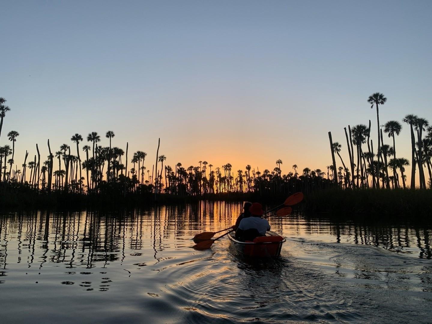 It's #NationalPlayOutsideDay today, so just another Saturday in Florida! 🌴 What adventures are you having this weekend?⁠
⁠
📷: @getupandgoweekiwachee⁠
.⁠
.⁠
.⁠
.⁠
.⁠
#FLAdventureCoast #weekiwachee #weekiwacheesprings #floridasunset #kayaklife #lovefl #florida #floridaliving #sunsetsaturday #hernandocounty