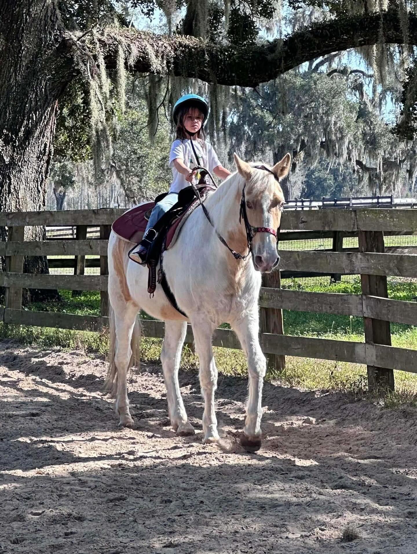 A little photo drop on this relaxing Thursday