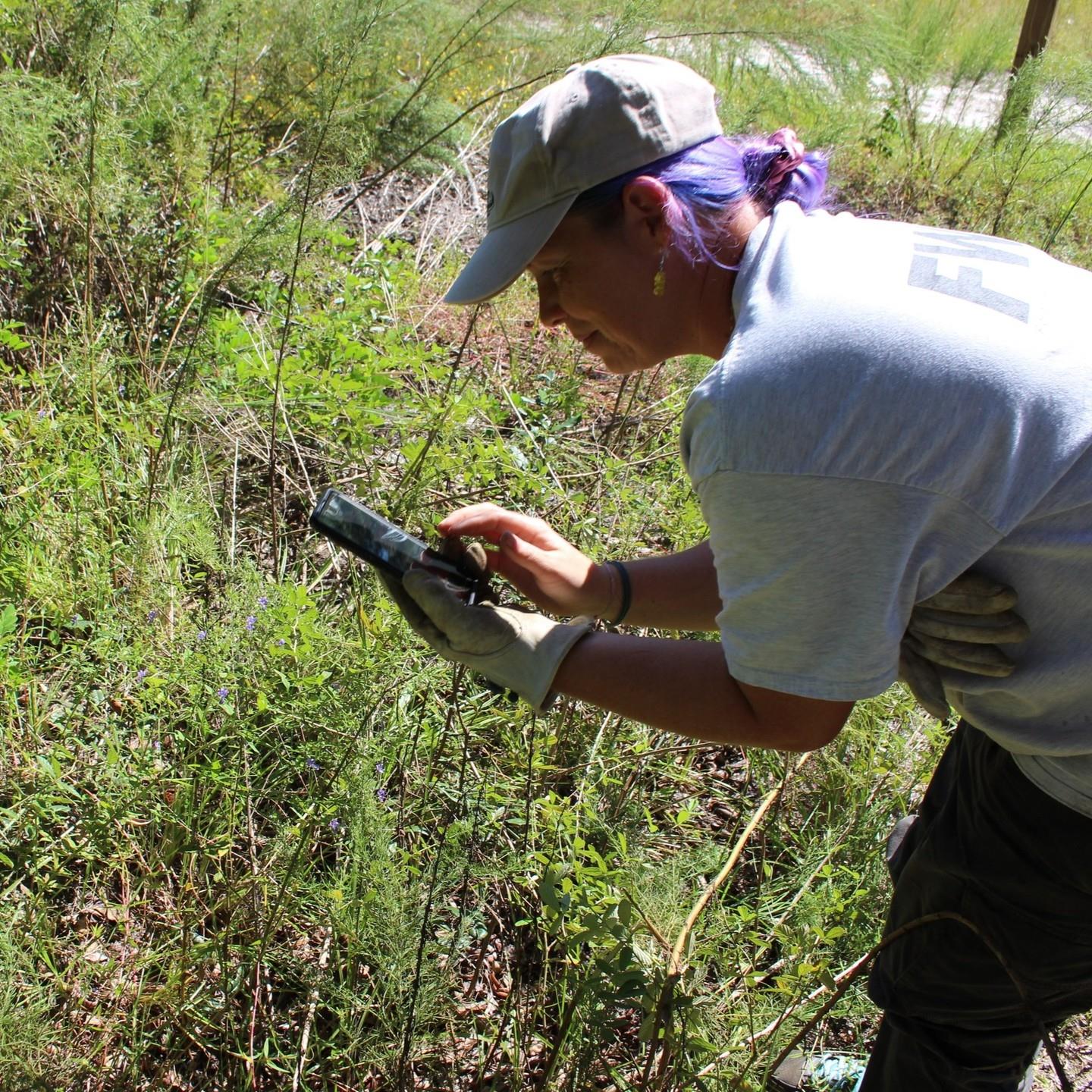 🎉🐾 #FloridaWildQuest is on! 

Families can participate in this fun scavenger hunt at Chinsegut Wildlife and Environmental Area (WEA)🍃 or another wildlife management area now through next Sunday, May 7th. 

🥾 You can also join the fun during a hike at nearby Perry Oldenburg WEA this Saturday, May 6th! WildQuest won't be the only focus of the hike, as there are many spring wildflowers and wildlife to look out for as well. 🌼🐢

🐾For more information about how to play, visit https://floridanaturetrackers.com/wildquest 

📸: Chinsegut Conservation Center / FWC staff

#FLWildQuest #brooksville #weekiwachee #hernandocounty #brooksvillefl #wildflorida #getoutdoors