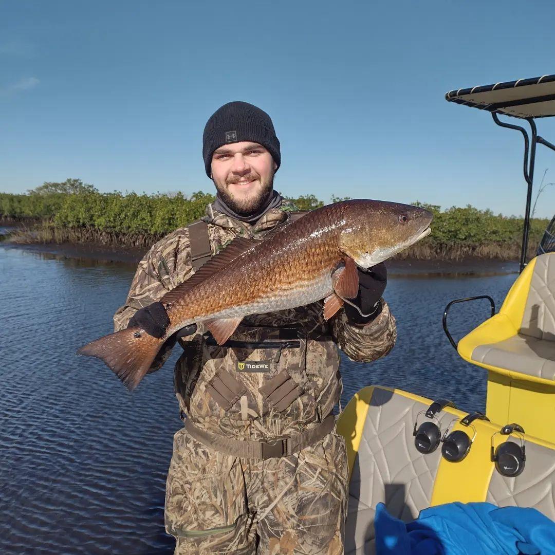 For those of you who love to fish 🎣 how many fishing trips are you planning for 2023?

📸: @lightlinesgoodtimes in Bayport, FL

"Christmas Eve Fishing Trip an 25° temps there was ice on the boat at the first spot 🥶. Bounced around an found some really nice redfish with a 29 for big fish of the trip."

.
#FLAdventureCoast #florida #fishingcharter #bayport #weekiwachee #fishingtrip #saltlife #airboatfishing #redfish