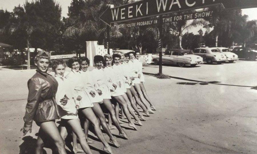 🗓️ On this day in 1947, Newton Perry introduced the world to Weeki Wachee Springs, one of Florida’s most iconic attractions. 76 years of Mermaid Magic! 🧜🏻‍♀️ #mermaid #weekiwachee #fladventurecoast #visitflorida #tourism #lovefl #OnThisDay #travel #wanderlust