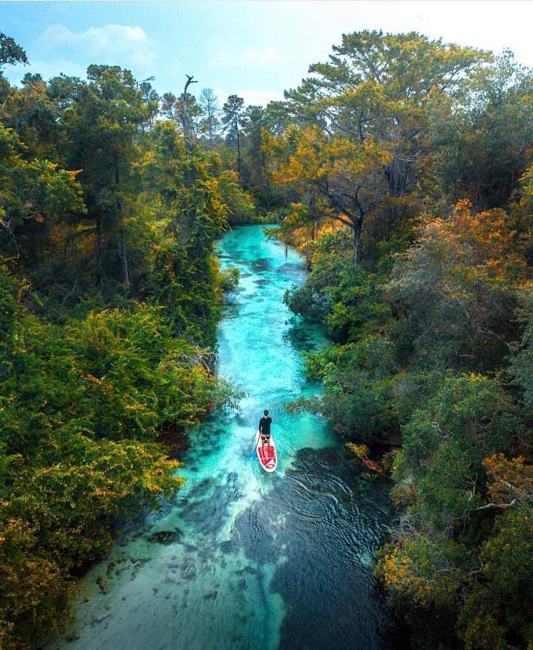 #Repost floridabrand.co
• • • • •
📍Weeki Wachee Springs, Florida

Photo by mblockk .
#weekiwacheeriver #thespringstate
