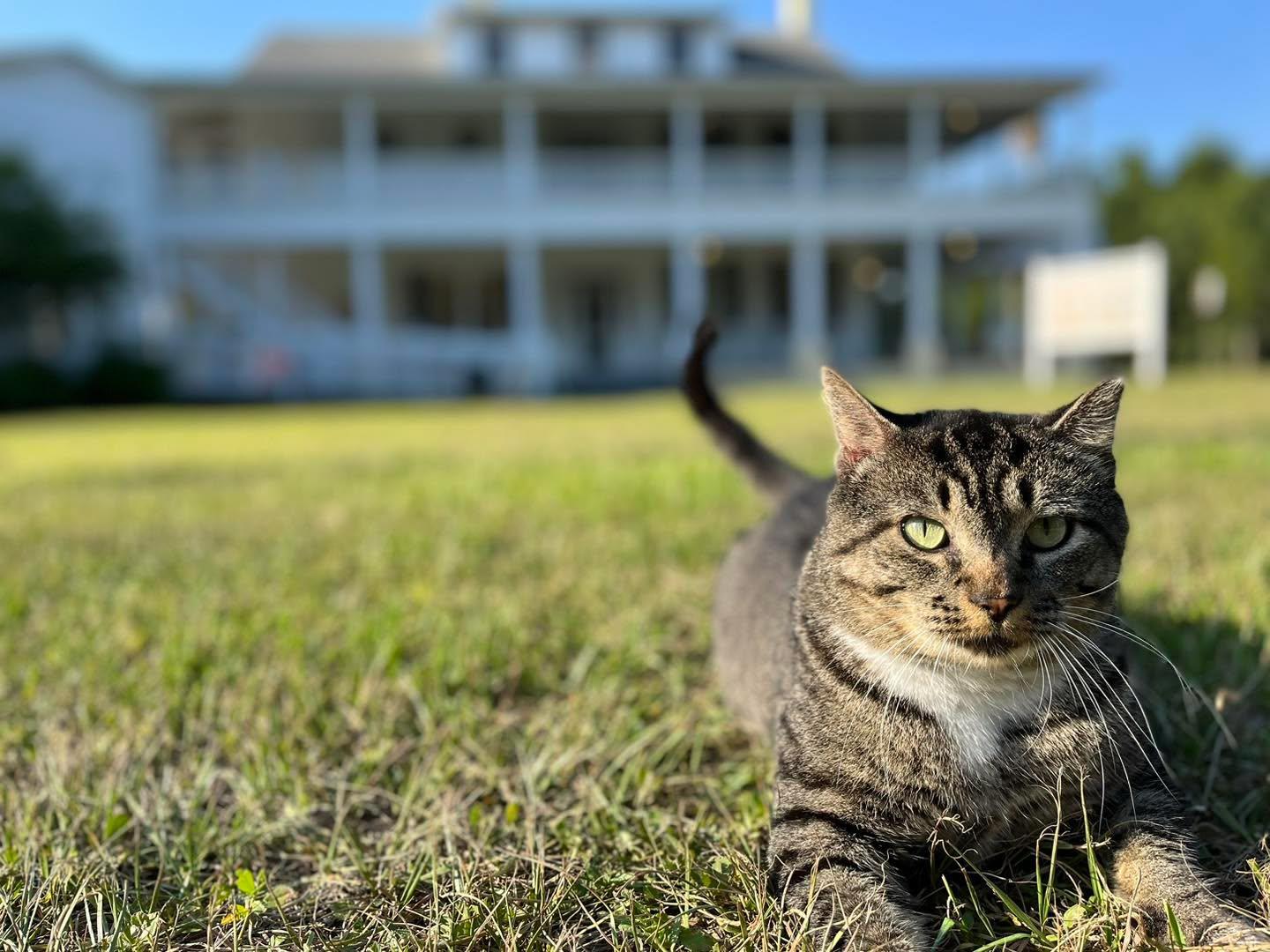 Repairs to the home’s HVAC system are underway, but house tours are postponed this weekend (July 22-23). The grounds are open, with a self-guided tour through the Hill’s history available.