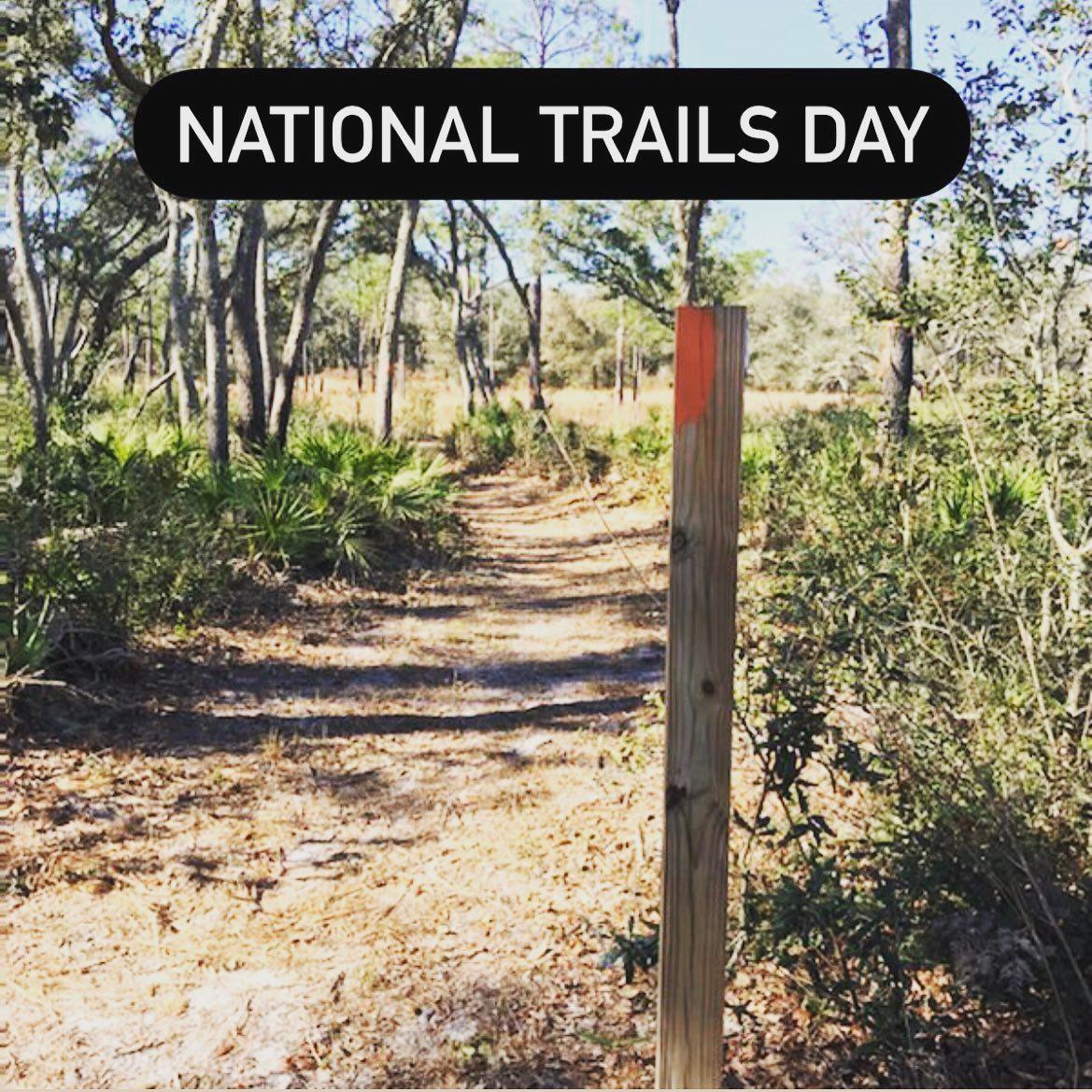 Celebrate #nationaltrailsday with esl_hernando by hiking one of our beautiful preserves. #eslhernando #fladventurecoast #hiking #wildflorida