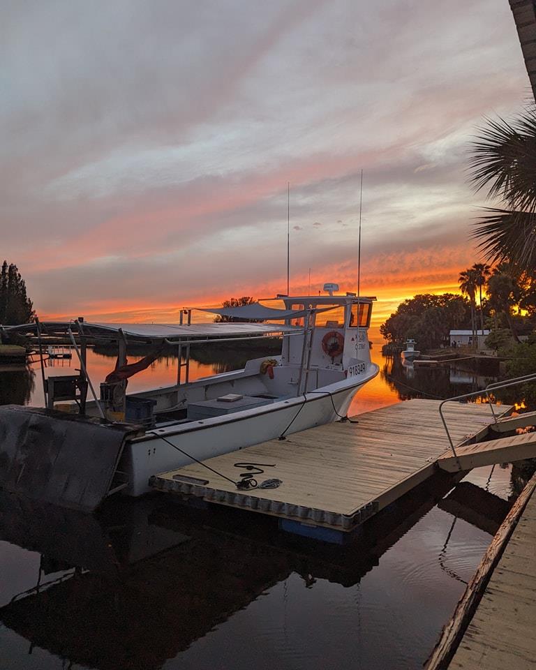 WE ARE BACK OPEN NORMAL BUSINESS HOURS!!!!!!!!
L💗VE ALL THE AMAZING SUPPORT! Calls, text, message, comments.... YOU GUYS ARE AMAZING 🥹🥹🥹🥹