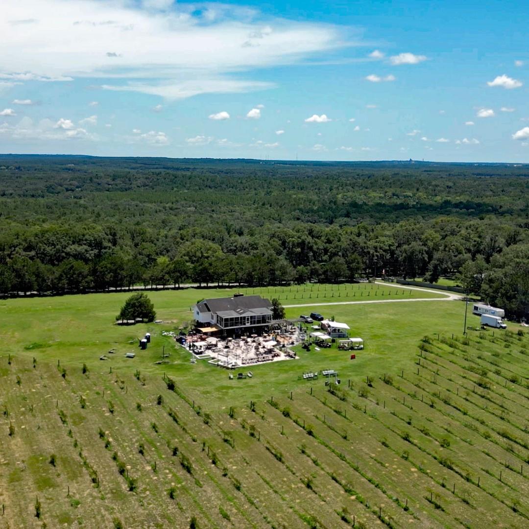 Celebrate the longest day of the year with golden hour views, vineyard breezes, and a glass of wine in hand at @sparaciawitherellvineyards

🍷 Whether you're toasting with muscadine or enjoying live music on the patio, there's no better way to welcome summer than an evening at this hidden gem on Florida’s Adventure Coast.

Tag your wine crew and meet us at sunset! 🌅