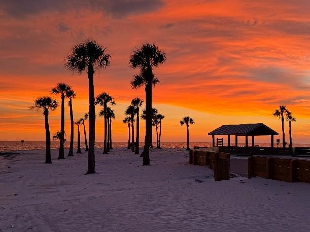 🌴☀️ Pine Island Park Reopens This Friday! 🏖️🎉

Great news, beach lovers — Alfred McKethan / Pine Island Park is officially reopening this Friday, August 1 at 8:30am with some exciting new upgrades!

✨ What’s New at the Beach?
• Fresh sand & new sidewalks 🏖️
• Shaded pavilions for relaxing 🌤️
• ADA, air-conditioned portable restrooms 🚻
• Cornhole boards for friendly competition 🎯
• Designated food truck space 🍴🚚
• A brand-new playground coming this September! 

🚌 Getting There Just Got Easier!
Catch a ride on Route 9: The Mermaid Route, which now includes pick-up/drop-off at Pine Island Park, plus stops along Shoal Line Boulevard.

📅 Park Hours: Open daily from 8:30am to sunset

🚗 Heads Up!
Due to expected high demand, the park will close to incoming visitors once it reaches capacity. Arrive early, carpool when you can, consider riding the Mermaid Route 9, and pack your patience. ❤️
🎟️ Bonus: There is currently no parking fee at Pine Island Park!