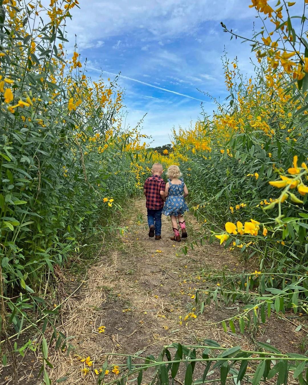 Looking for a family getaway that’s big on fun but easy on your wallet? 👨‍👩‍👧‍👦💸

Florida’s Adventure Coast, Brooksville – Weeki Wachee is your go-to destination for budget-friendly family adventures! From splashing around at Buccaneer Bay and spotting mermaids at Weeki Wachee Springs State Park, to exploring u-pick farms, nature trails, and kayaking the scenic Weeki Wachee River — there’s something for every age and interest. 🌊🌳🛶

Whether you're planning a weekend escape or a summer vacation, this guide has tips on where to stay, what to do, and how to make the most of your trip without overspending. Your next affordable adventure starts here!

📲 Read the full article at the link in bio