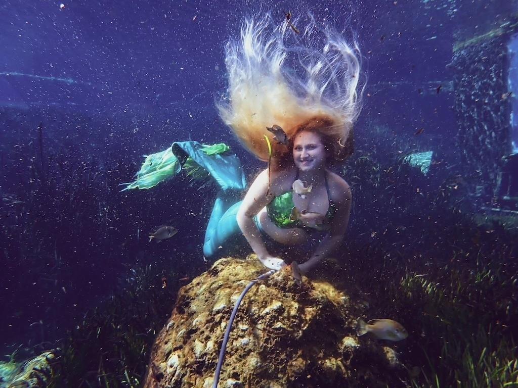 🧜🏻‍♀️ Happy #MermaidMonday with Ashley! ⁠
⁠
📸: @weekiwacheesprings⁠
⁠
The mermaids perform daily at 11 AM and 3 PM (Weather permitting).⁠
⁠
Buccaneer Bay is closed for the season. However, the swimming area is open daily.⁠
⁠
#fladventurecoast #weekiwacheesprings #florida #floridatravel #hernandocounty #oldflorida #mermaids