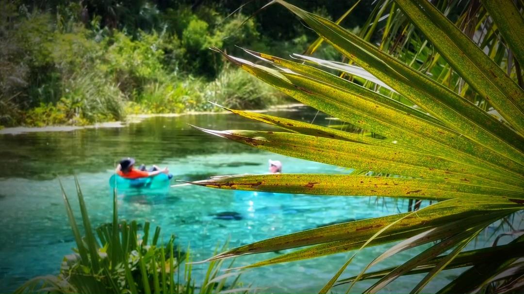 It's National Waterpark Day and Buccaneer Bay is the place to be! 💦☀️ 

Dive into adventure with thrilling slides and crystal-clear waters at Weeki Wachee Springs State Park. For the cost of admission, visitors can also see the famous underwater Mermaid Shows, ride the Riverboat Cruise and enjoy a wildlife show at the Ranger's Experience!

📍: 6131 Commercial Way, Weeki Wachee, FL

#FLAdventureCoast #WeekiWachee #Florida #NationalWaterparkDay #loveFL #floridasprings #pureflorida #exploremore #wanderlust #summervacation