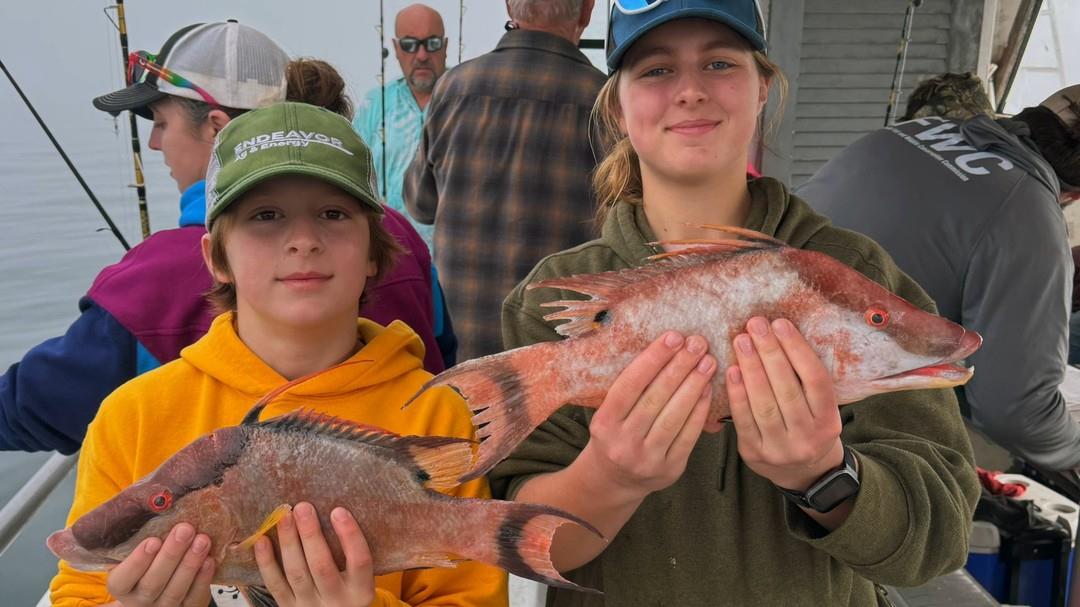 Spring is heating up, and so is the offshore fishing on #FLAdventureCoast! Capt. Chaz with Thunder Party Boat reports that sheepshead and mangrove snapper are biting strong in deeper waters. 

Whether you're looking for a thrilling fight or a fresh catch for dinner, now’s the time to hit the Gulf!

Book your offshore adventure today with Thunder Party Boats and experience the best of March fishing! 🎣☀️

📍 Thunder Party Boat: 352-597-3900

#Florida #floridafishing #fishingreport #saltlife #floridatravel #naturecoast