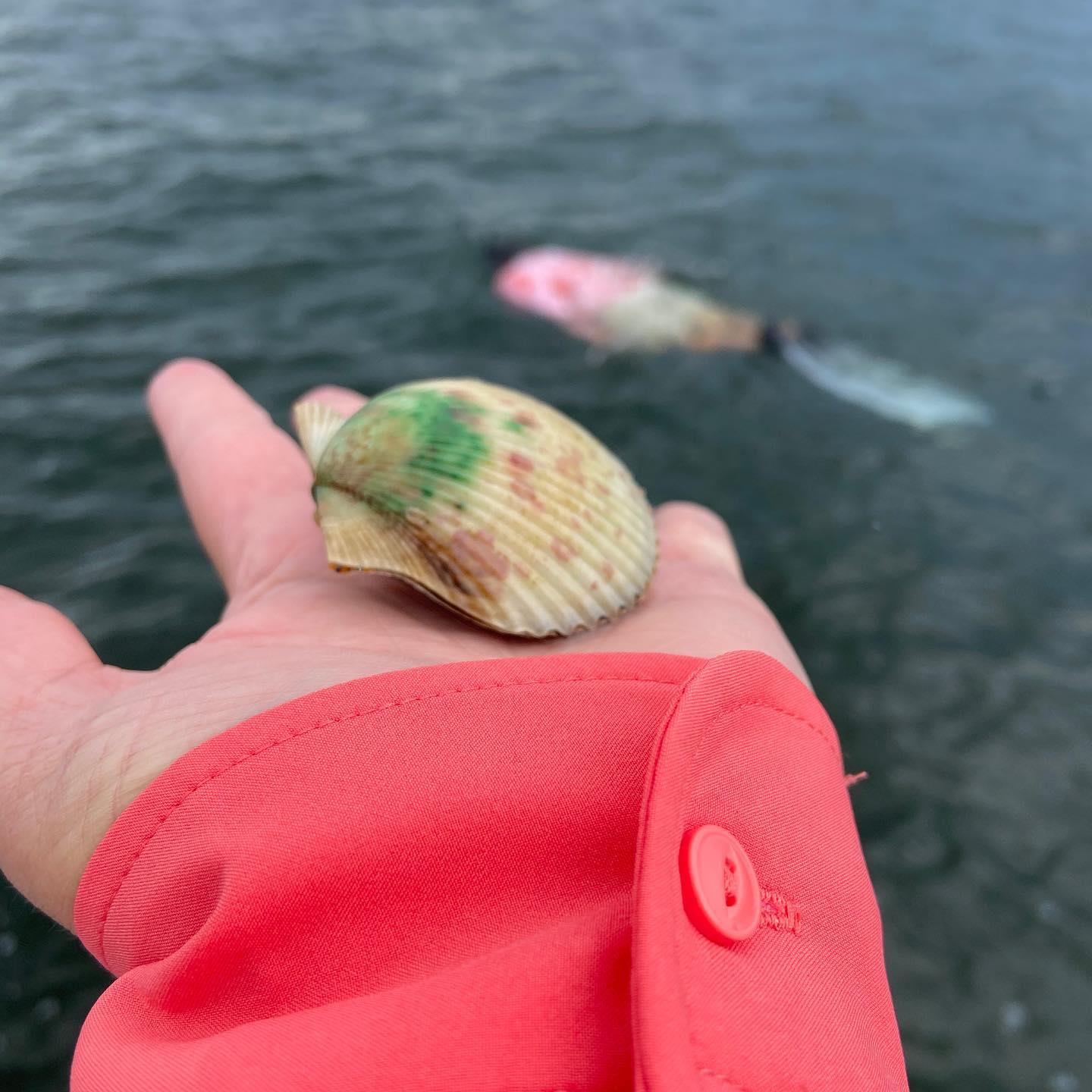 Another fantastic scalloping season in the books!…… Now back to throwing lines, we’re looking forward to #redoctober Make sure you check out our website or call Captain Carey @ 352-361-0731 to book your inshore fishing charter.
.
.
.
.
#scalloping #redfish #inshorefishing #trout #snook #ozello #okm #southernslamoutfitters #fishing #floridafishing #fishingcharter