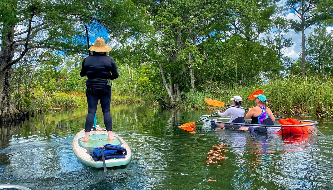 Paddle your way to paradise on the Bayport-Linda Pedersen Paddling Trail! 🌊✨ 

Located near Weeki Wachee, this coastal gem is a great spot to see wildlife and soak up the sun. 🌴☀️
https://floridasadventurecoast.com/paddle-through-a-coastal-adventure/

#FLAdventureCoast #PaddlingParadise #ExploreFlorida #NatureLovers #Kayaking #Paddleboarding #OutdoorAdventures #Brooksville #WeekiWachee